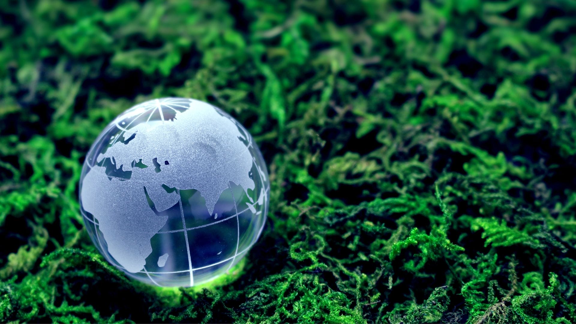 Civil Engineering Outsourcing A transparent glass globe with etched continents rests atop vibrant green moss, symbolizing the global reach and environmental responsibility integral to civil engineering outsourcing. This image highlights the importance of nature conservation and environmental considerations in outsourced civil engineering projects worldwide.