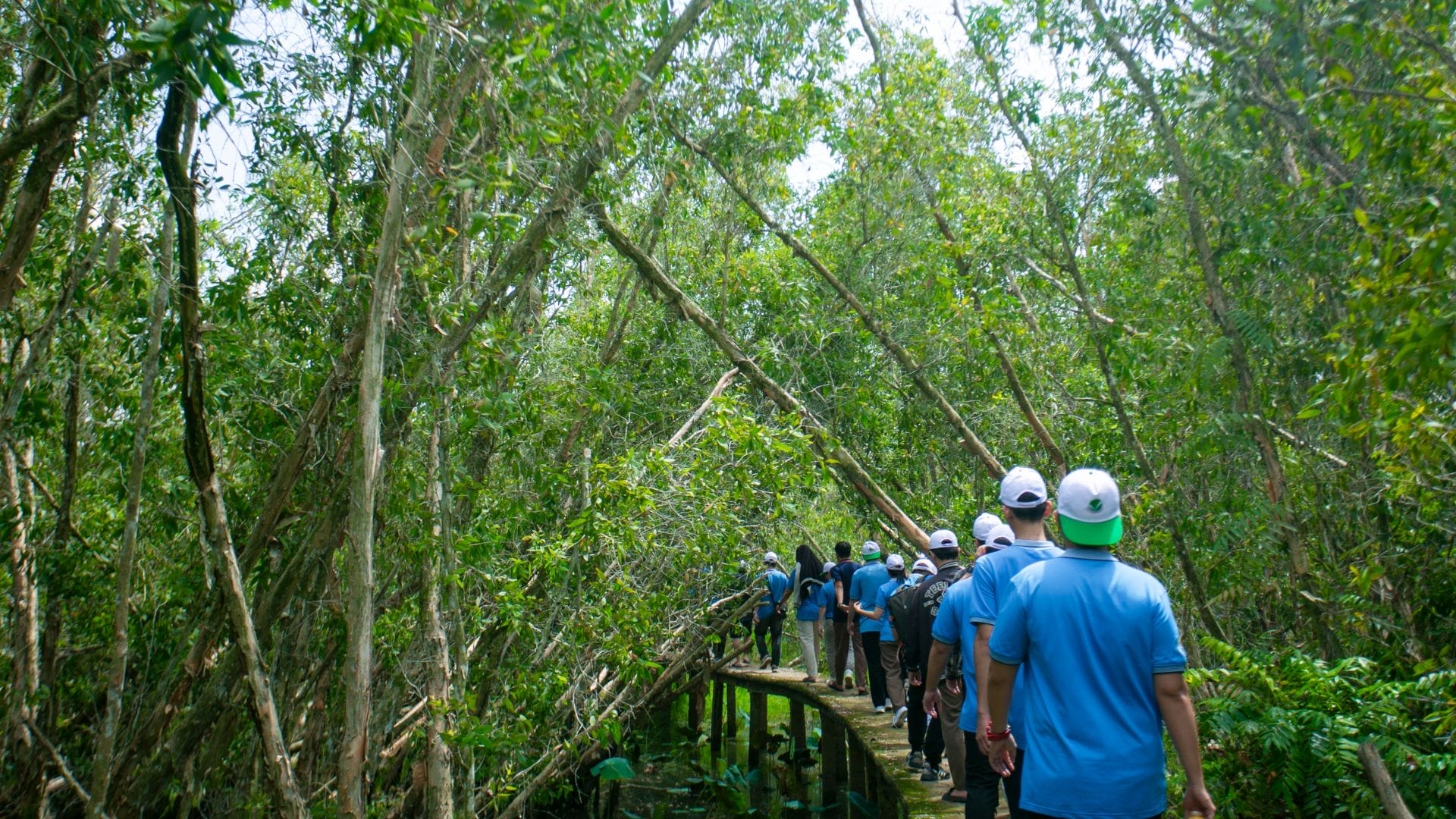 Civil Engineering Outsourcing A group of people in blue shirts and hats walk single file along a narrow, curved wooden path through dense green forest, capturing memorable moments on their KELTIC–AXA Engineers Trip 2025. This scenic trail not only showcases the beauty of nature but also highlights the expertise behind civil engineering outsourcing, as specialized professionals help design and construct such sustainable pathways in challenging environments.