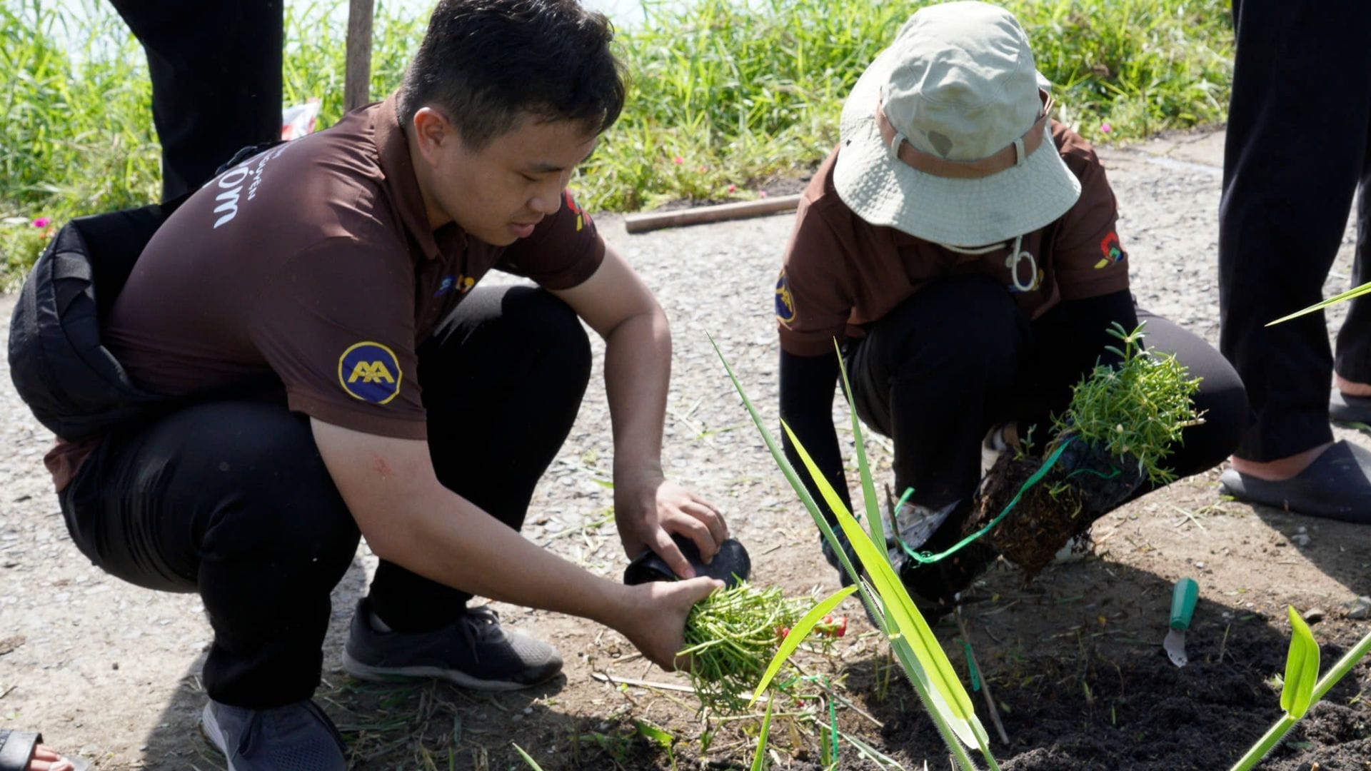 Civil Engineering Outsourcing Two people in brown shirts squat near a path, collaborating to plant seedlings—like a civil engineering outsourcing team at work.